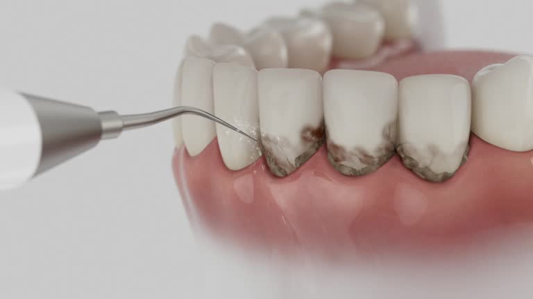 Reliable Dental contractor in Ponce Inlet, FL by Dentist Open Now